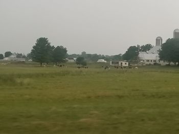 Scenic view of field against clear sky