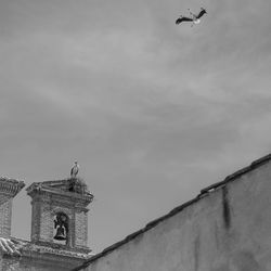 Bird perching on wall against sky