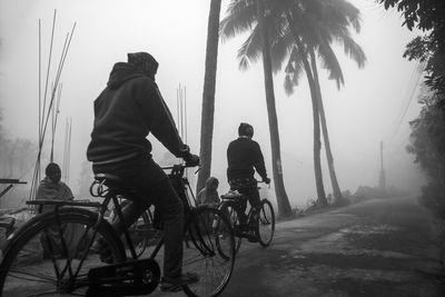transportation