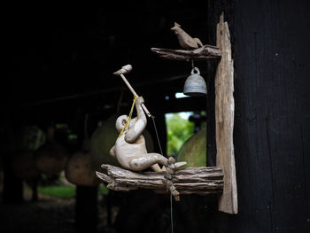 Birds perching on wood