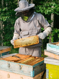 Rear view of man working in greenhouse