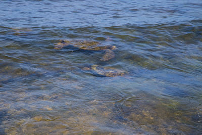 High angle view of waves on beach