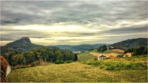 Scenic view of vineyard against cloudy sky