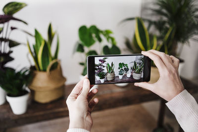 Midsection of woman photographing with mobile phone