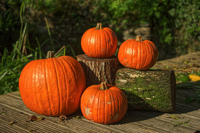 Close-up of pumpkins on wood during autumn