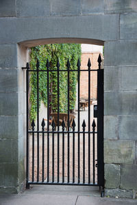 Metallic entrance gate of building