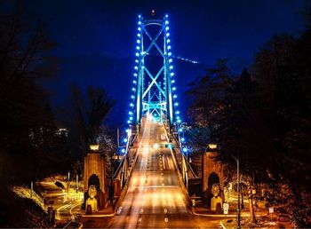 Illuminated trees against sky at night during winter