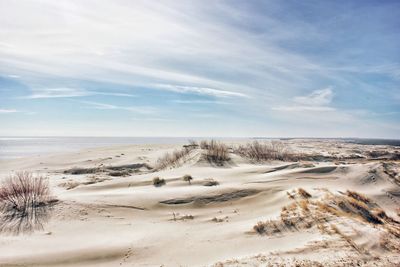 Scenic view of beach against sky