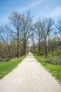 Road amidst trees and plants against sky