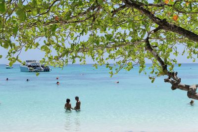 People at sea shore against trees