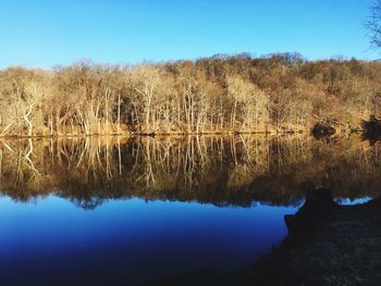 Reflection of trees in lake against clear sky