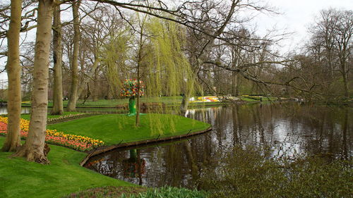 Scenic view of park by trees against sky