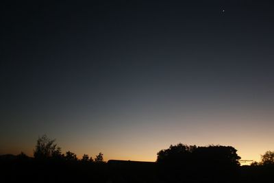 Low angle view of silhouette trees against sky during sunset