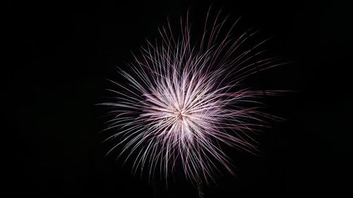 Low angle view of firework display at night