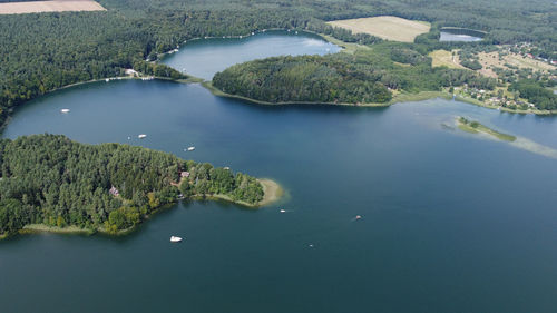 High angle view of lake and trees