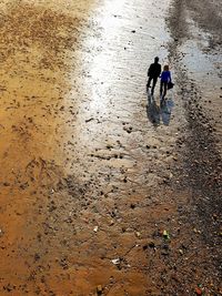 People walking on beach