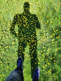 Low section of person standing on yellow flowering plants