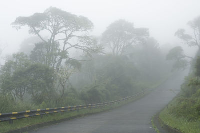 Road amidst trees against sky during rainy season