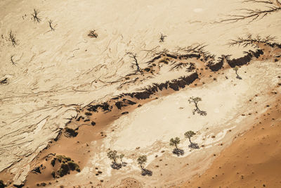 High angle view of sand on beach