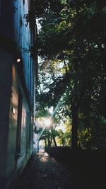 Trees by building against sky
