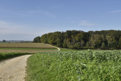 Scenic view of trees on field against sky