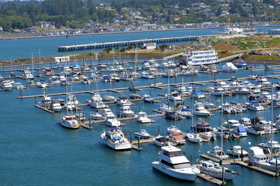 High angle view of sailboats moored in harbor