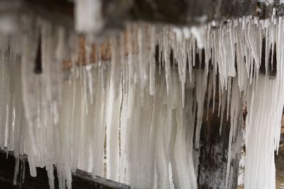 Close-up of frozen water