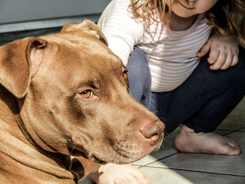 Low section of girl with dog on floor