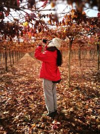 Rear view of man standing by autumn leaves