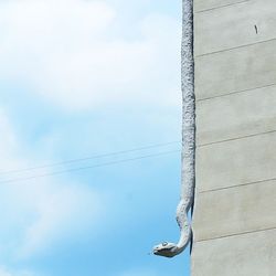 Low angle view of power lines against sky