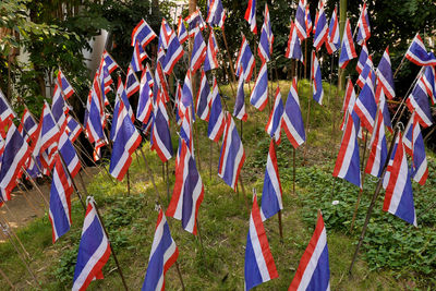 Multi colored flags hanging on field