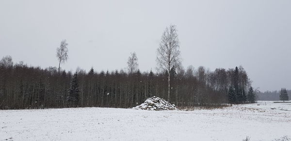 Trees on snow covered field against sky