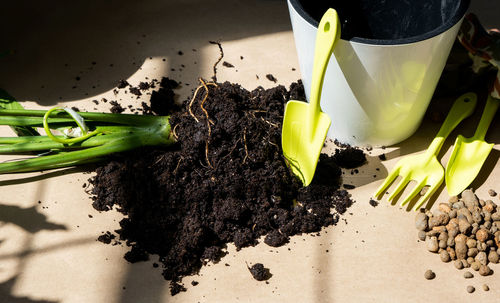 Cropped hand of person gardening