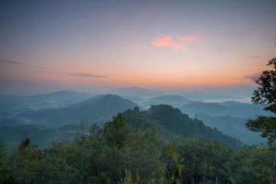 Scenic view of forest against sky at sunset