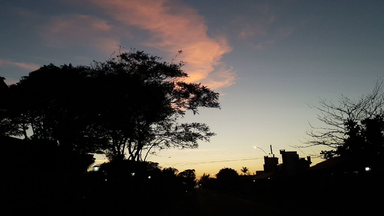 SILHOUETTE TREE AGAINST SKY AT SUNSET