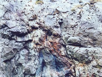 Close up of tree stump