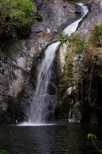 Scenic view of waterfall in forest