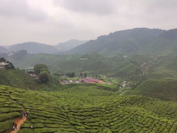 Scenic view of farm against sky