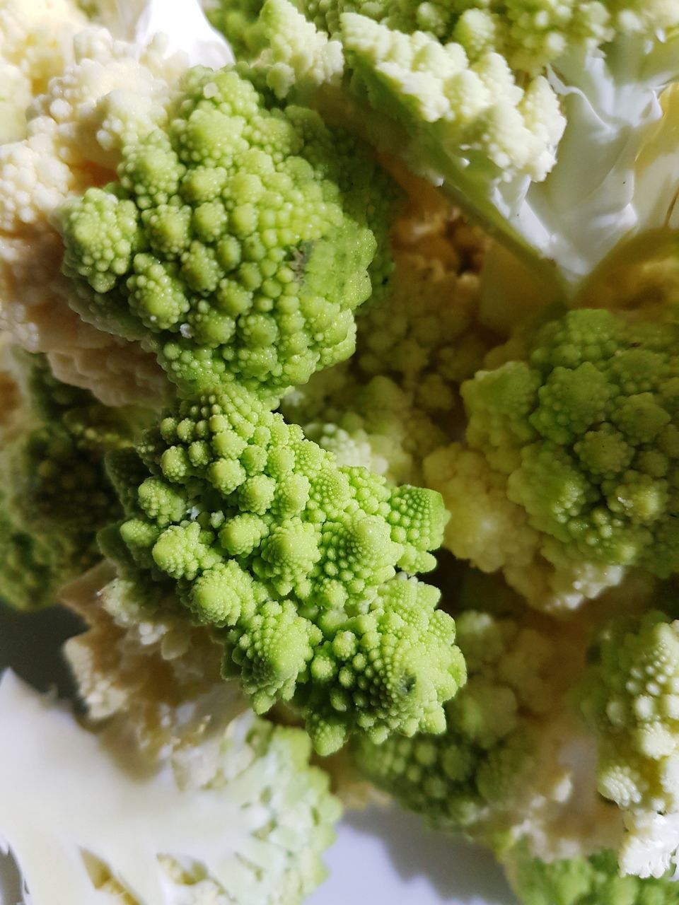 HIGH ANGLE VIEW OF VEGETABLES