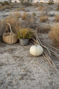 Close-up of wicker basket on sand