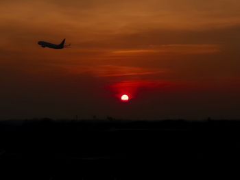 Silhouette bird flying in sky during sunset