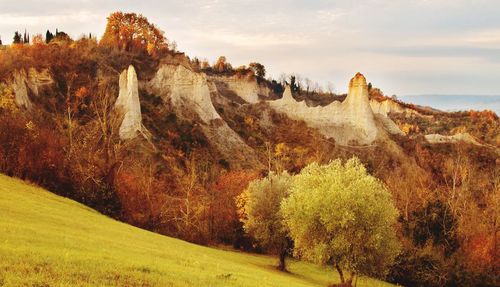 Panoramic view of landscape