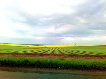 Scenic view of agricultural field against sky