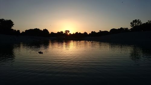 Silhouette swans swimming in lake against sky during sunset