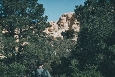 Rear view of man hiking in desert