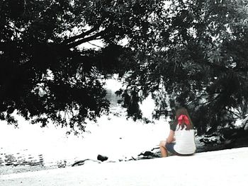 Woman standing on tree trunk