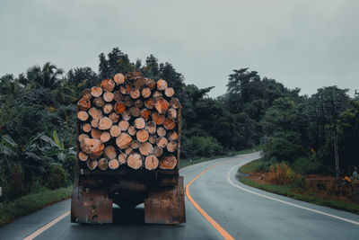 Truck carrying logs of wood on the road