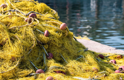 Close-up of fishing net in lake