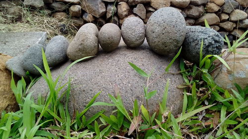 Close-up of pebbles