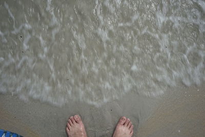 Low section of man standing on beach